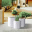 Ensemble de pots à fleurs 3 pièces Centonze-1876314823