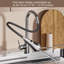 Brayden Studio Pull Out Kitchen Faucet