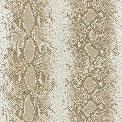 Papier peint charmeur de serpent
