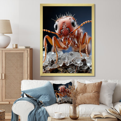 Mackinsey Ant Delicate Explorer II, reproduction d'art sur toile