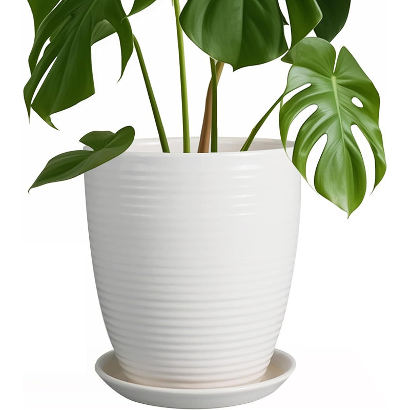 8 Inch Matte White Ceramic Planter Pot