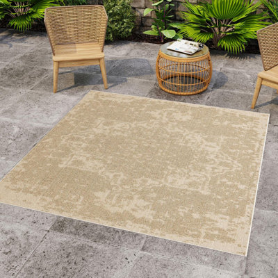 Indoor/Outdoor Traditional Area Rug
