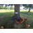 Bird in Hand Series Cumberland Chicken Coop 10 in x 10 in x 8 in Birdhouse