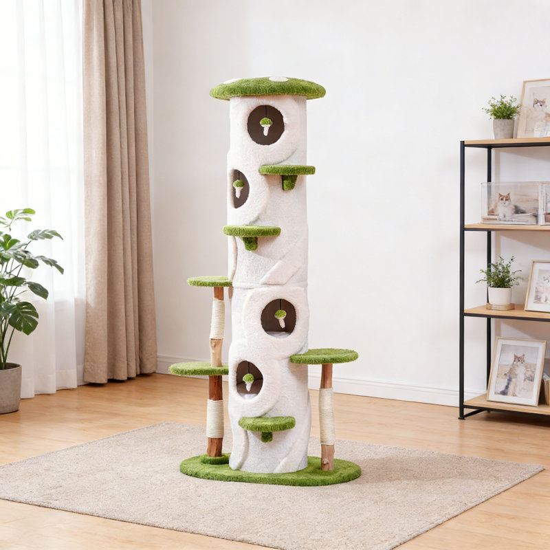 Structure d'escalade simple, Blanc / Vert