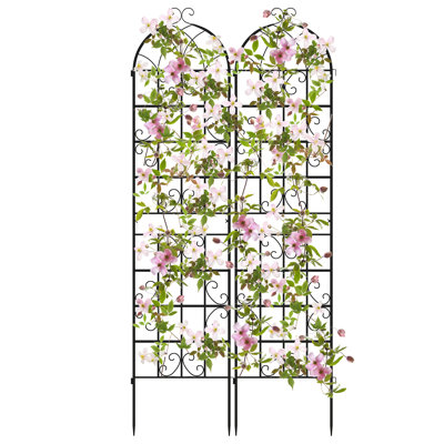 Valdean 87'' H x 20'' W Metal Arched Trellis
