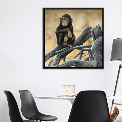 " Chimpanzee " by Jan Weenink