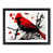 Black Framed selected