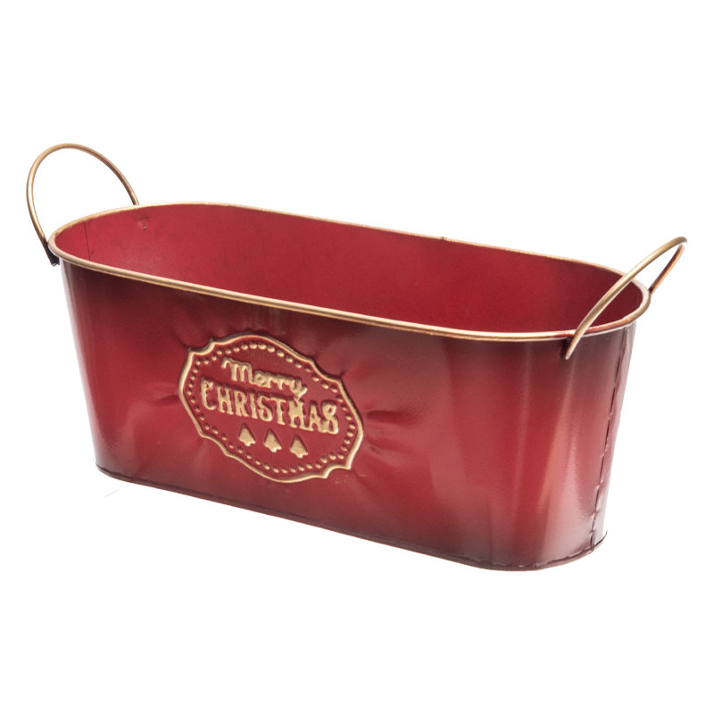 Pot de fleurs en métal Dafyd, H 5,75 po x l 4,75 po x P 13 po