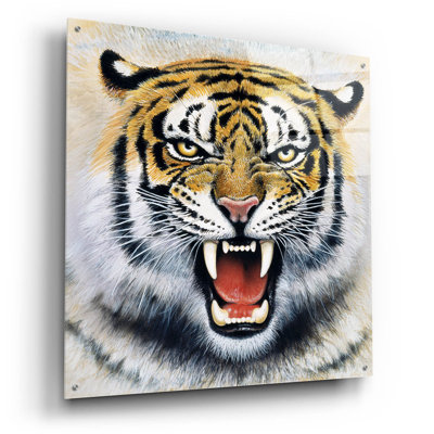 " Tiger " by Harro Maass