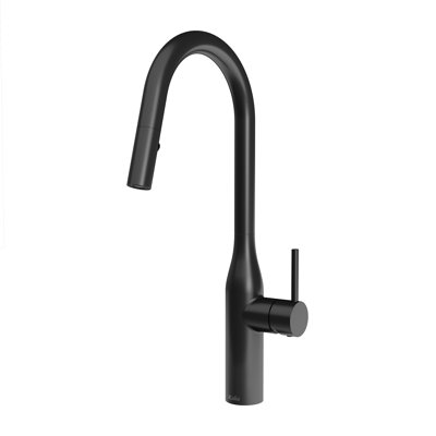 Kalia Kaviar Pull Down Kitchen Faucet