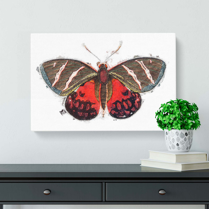 Icarus Moth by George Shaw - Wrapped Canvas, 35cm H x 50cm W x 3cm D