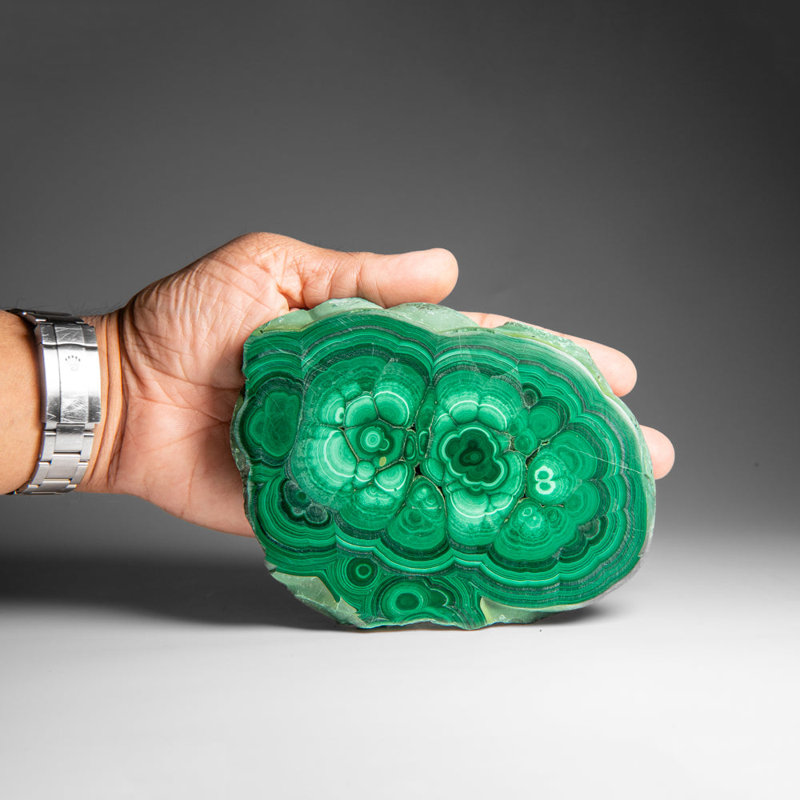 Genuine Polished Malachite Stalactite Slice (1.6 Lbs)