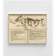 Bataille de Monmouth, New Jersey en pleine propriété, impression de carte de guerre, affiche de carte de vieille bataille, affiche de guerre, carte antique du New Jersey, art mural encadré