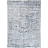 Oriental Area Rug in Blue