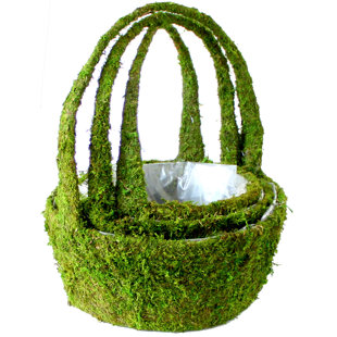 Hanging Planter (Set of 6)