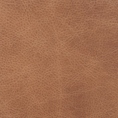 Nugget (KL245-64) Sample