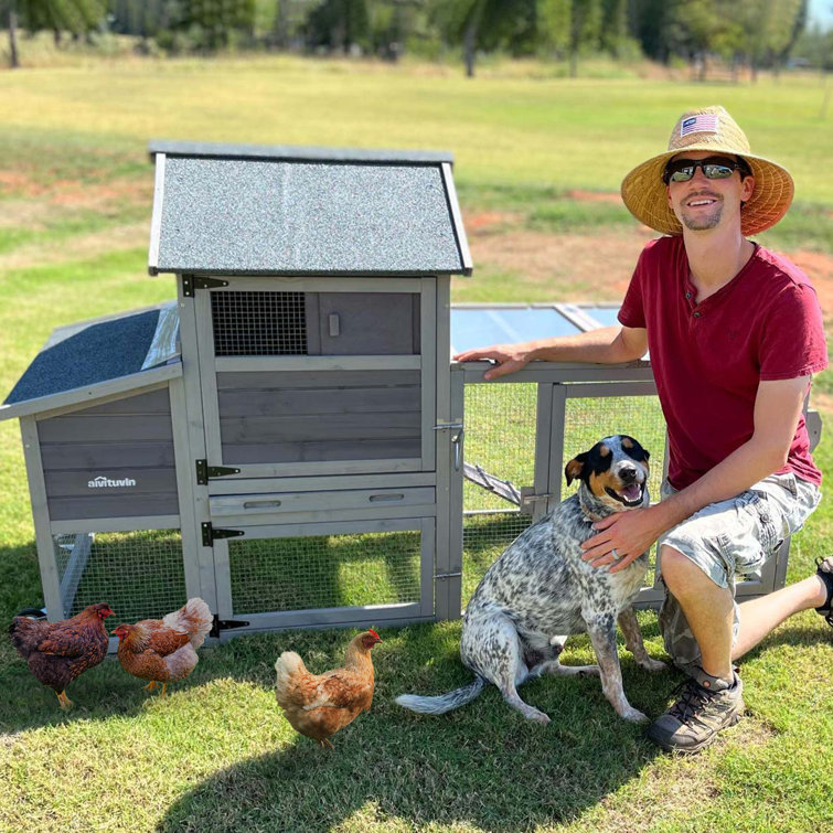 26.2 Square Feet Chicken Coop with Chicken Run For Up To 6 Chickens