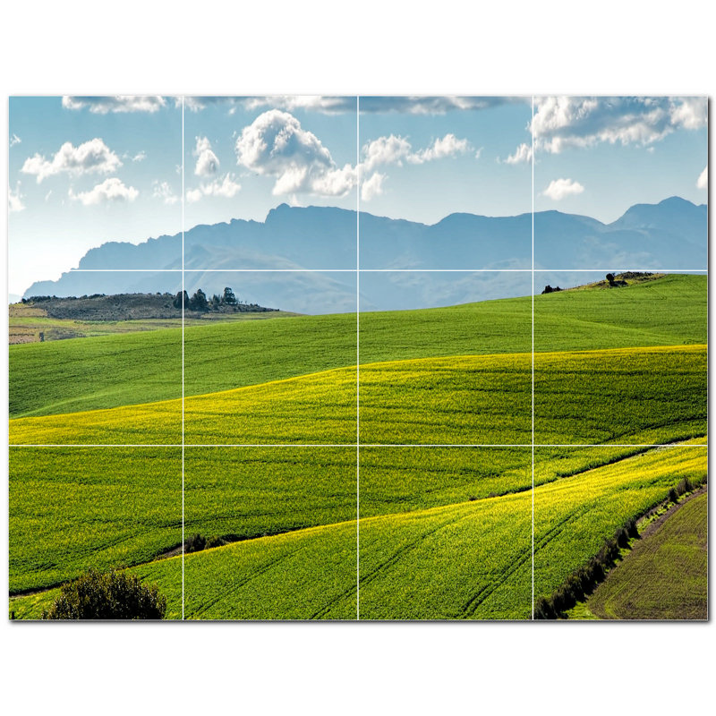 6 x 6