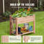Carlishia Wood Raised Garden Bed
