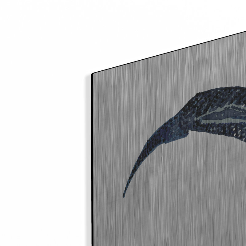" Shark Whale 1 " by Stellar Design Studio, 24" H x 36" W