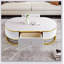 Table basse moderne ovale avec tiroirs spacieux, conception à profil courbé et décor en métal doré pour les salons élégants