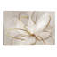 Transparent Beauty Lii - Wrapped Canvas Print-838013391-820488842
