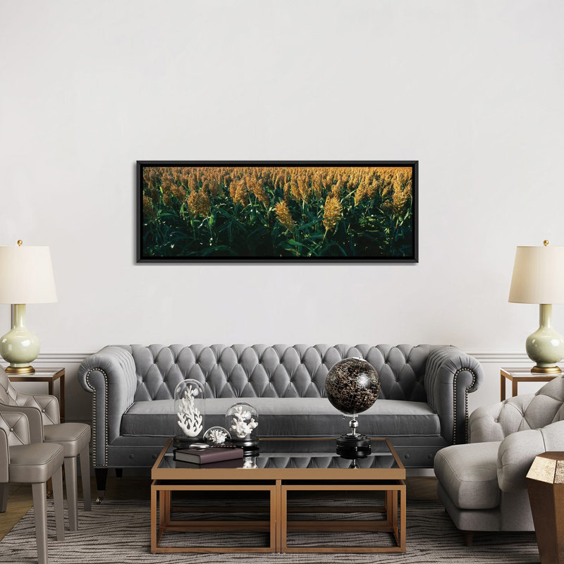 «Crop in the Field, Kansas, USA», reproduction de photo sur toile, H 20 po x l 60 po x P 1,5 po, Toile avec cadre noir
