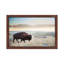 The Anonymous Buffalo by Chelsea Victoria - Print on Canvas-770498517-709234886