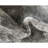 Brandt Floral Area Rug-1781120338-1848429824