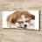 Akita Puppy - No Frame Print on Canvas