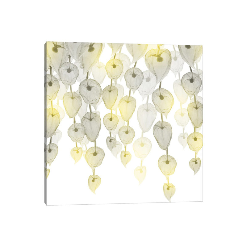 Lit Lantern Cascade I by Albert Koetsier - Wrapped Canvas Painting, 30.48cm H x 30.48cm W x 1.91cm D