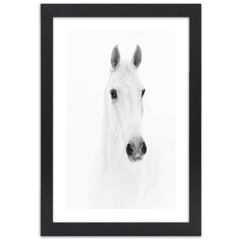 White Horse Animals Nature 1 Piece Single Picture Frame Wall Art, 100cm H x 70cm W, Black