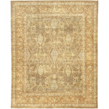 Wool Oriental Area Rug in Gold
