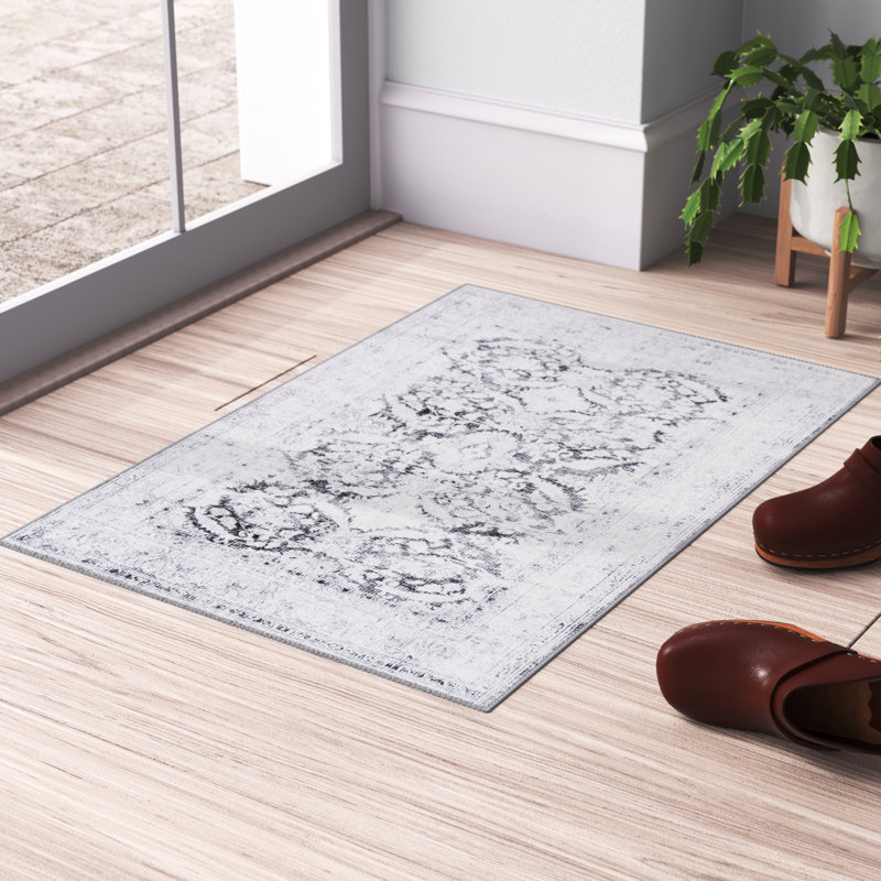 Heyde Chenille Oriental Indoor Rug, Rectangle 2' x 3'