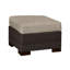 Club Outdoor Ottoman with Cushion-38586788-62363537-63361357