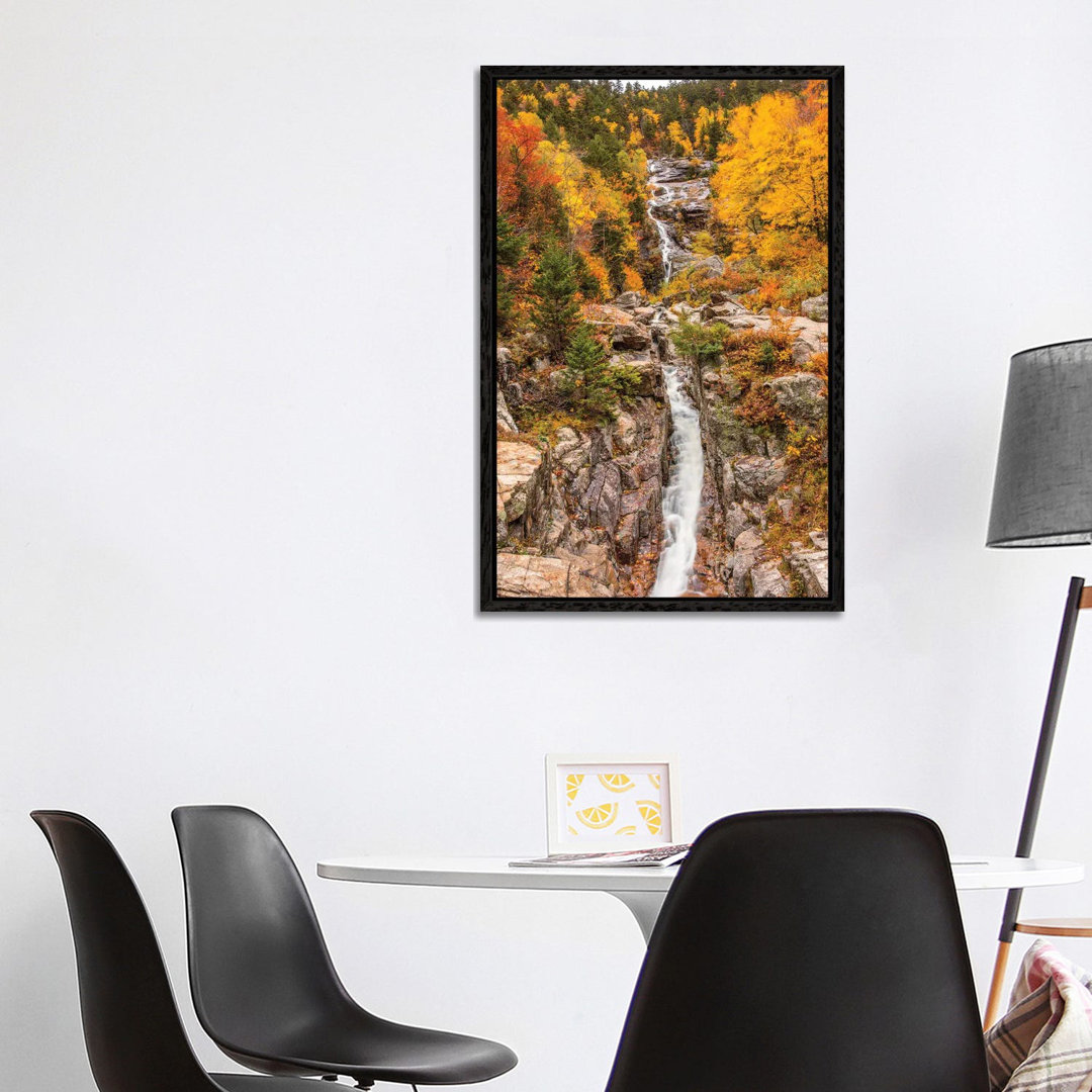 Silver Cascade von Dan Sproul - Galerie-verpackte Leinwand Giclée auf Leinwand