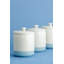 Mason Cash Home To Roost Storage Jars