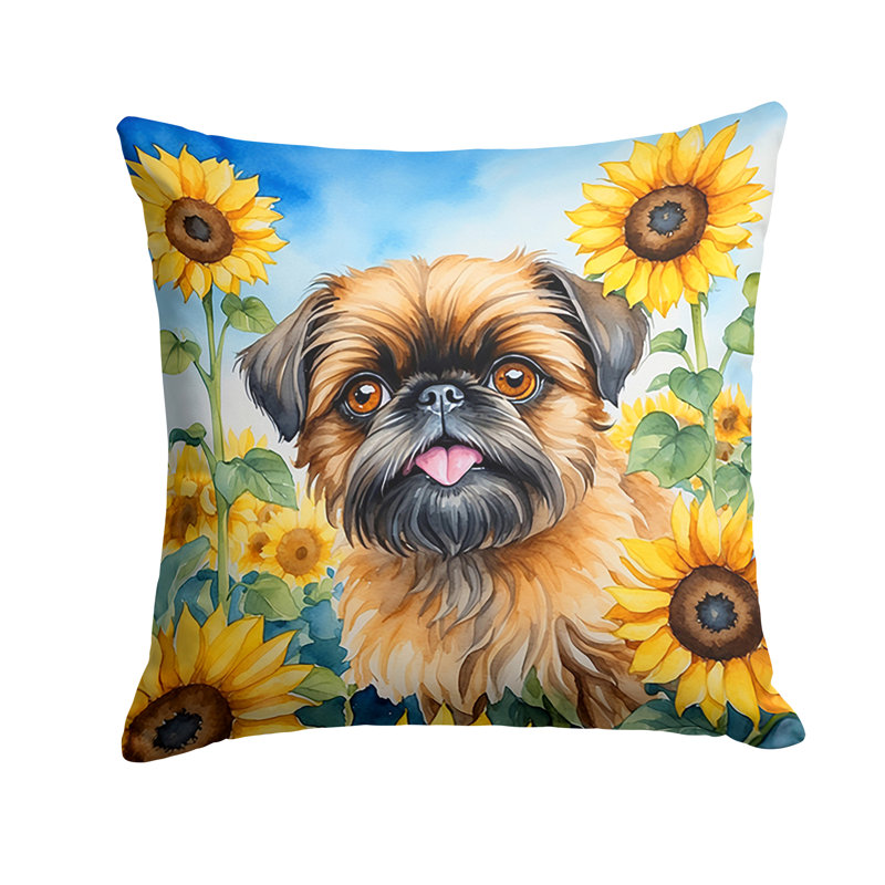 Other/No Pattern Outdoor Throw Pillow, 14" H x 14" W