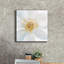 «Contemporary Clematis Gray» par Danhui Nai, art mural sur toile-1018286228