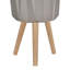 Shel Cachepot-1256889669-1256889670