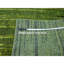Tapis vert en laine doux noué à la main 8 pi 2 po x 10 pi 3 po FFA482076E8249718ADE74764FCCFF10