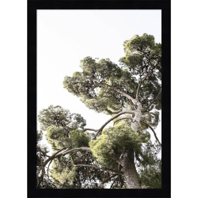 Reshma "Japanese Garden 01" Print