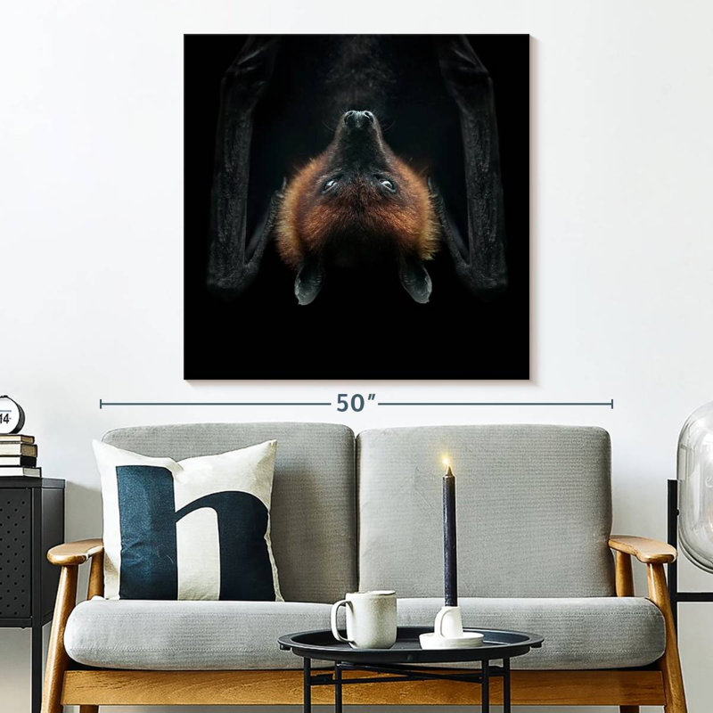 Crowle Upside Down Flying Fox Bat, 33" H x 33" W
