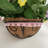 Petunia Hanging Basket Arrangement in Basket