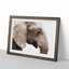 Portrait of an Elephant in Abstract - Picture Frame Graphic Art Print-55768213-55768212