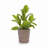 High quality ceramic flowerpot-1053892362