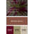 Lyrical Abstraction 57 Brown Canvas Wall Art-449005497