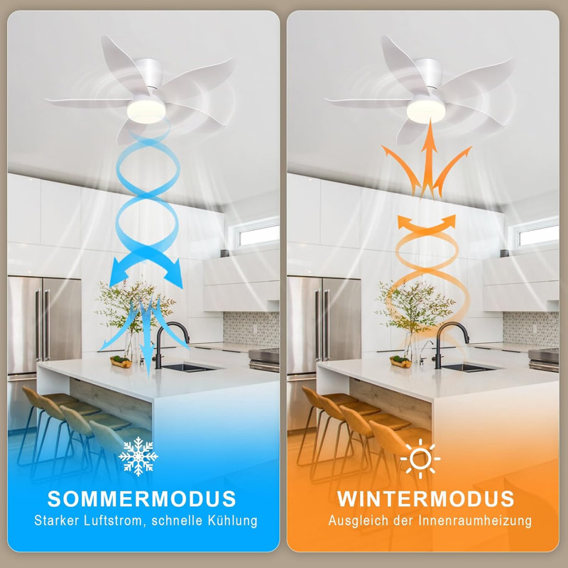 Ceiling Fan