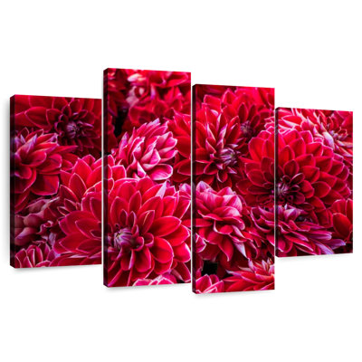 Harnek Dahlia Blooms