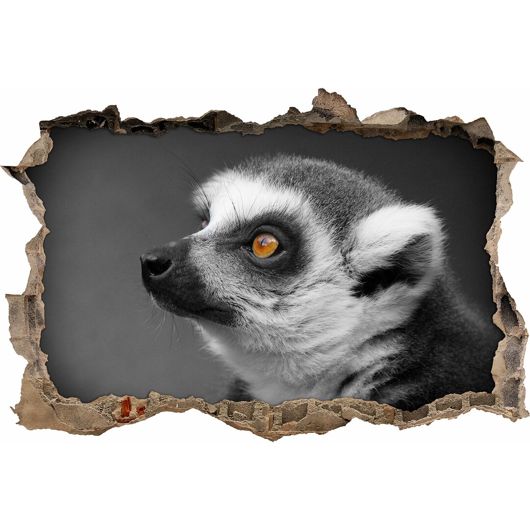 Verwirrender Ringelschwanz Lemur Wandaufkleber